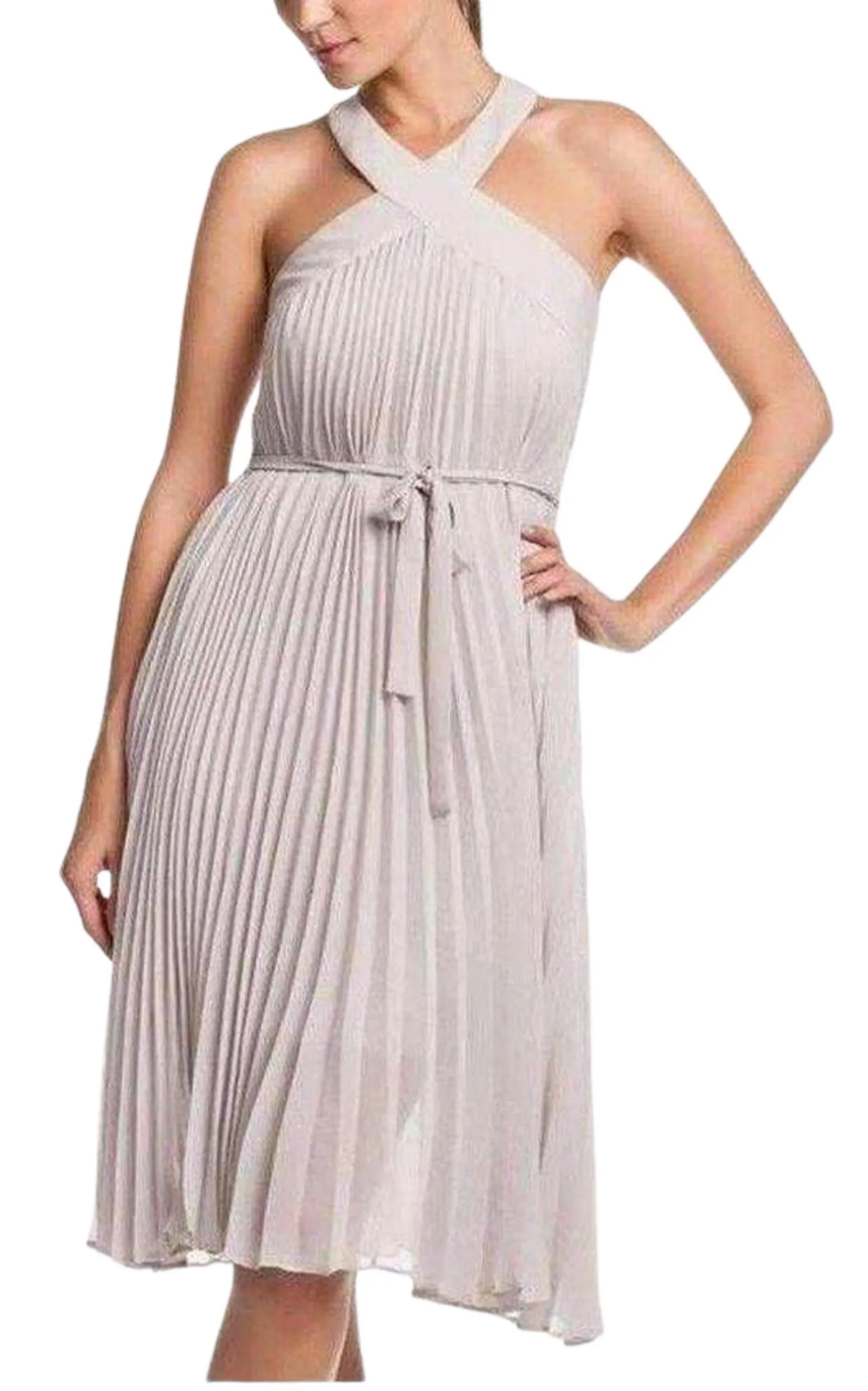 Eloise Pleated Cocktail Dress