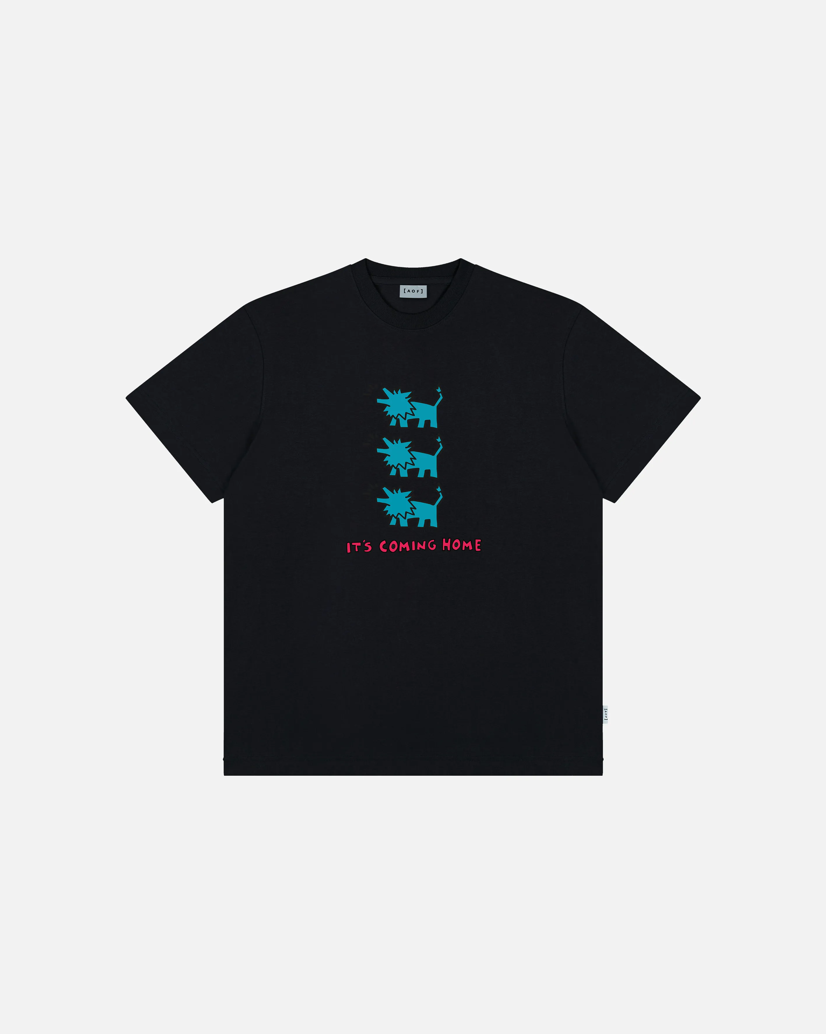 It's Coming Home Tee